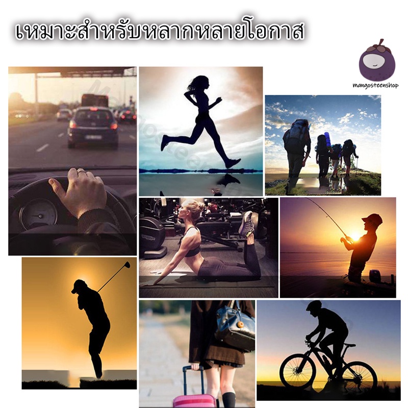 รูปภาพ 8