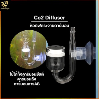 CO2 Glass Diffuser หัวดิฟ กระจายคาร์บอนได้ดี หัวดิฟไม้น้ำ หัวดิฟคาร์บอน หัวกระจายคาร์บอน หัวดิฟแก้ว