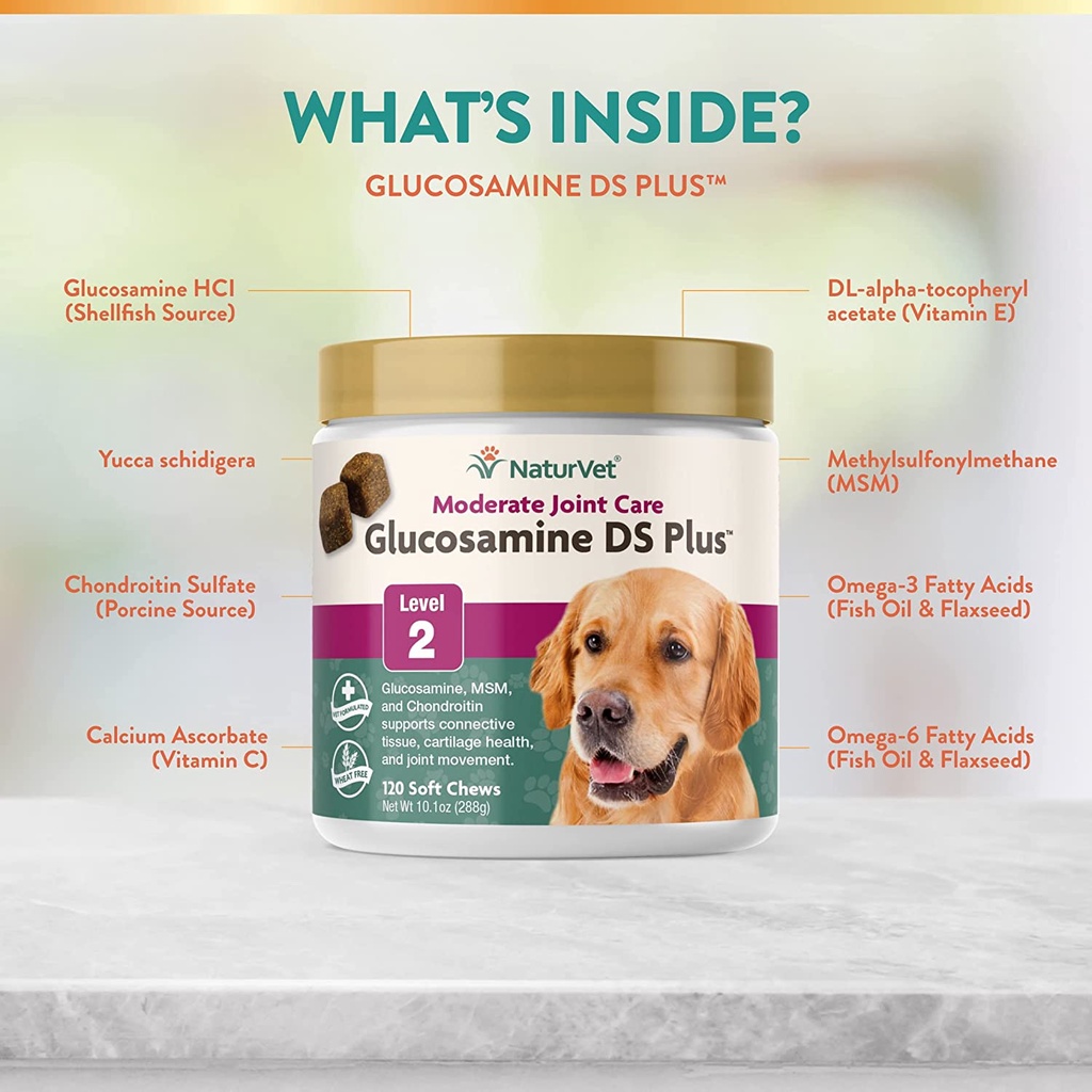 Glucosamine DS (Level 2) กระปุก 120 เม็ด บำรุงข้อ สุนัขแมว ป้องกันข้อ