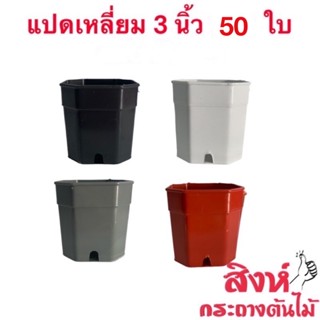 กระถางแคคตัส แปดเหลี่ยม 3 นิ้ว 50 ใบ