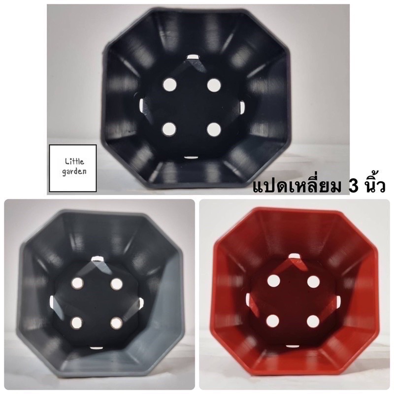 [ใส่โค้ด XA9CLVTW ลด 70 บาท ] กระถางแคคตัส แปดเหลี่ยม 3 นิ้ว 500 ใบ (สีดำ สีขาว สีอิฐ สีเทา) - รูปที่ 2