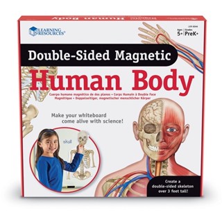 DOUBLE-SIDED MAGNETIC HUMAN BODY DEMONSTRATION SET พร้อมส่ง แบรนด์แท้ LR🇺🇸💯