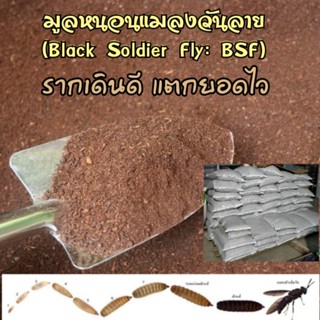 มูลหนอนBSF(ปุ๋ยธรรมชาติชั้นดีเกรดพรีเมี่ยม)1กิโลกรัม