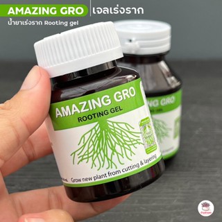 เจลเร่งราก Amazing Gro น้ำยาเร่งราก Rooting gel กระบองเพชร ไม้อวบน้ำ กุหลาบหิน cactus&amp;succulent