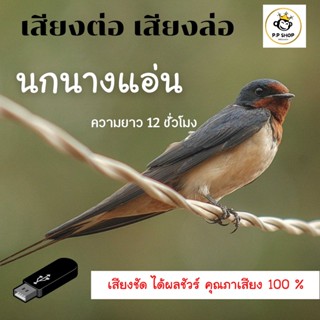 MP3 เสียงเรียกนกนางแอ่น 12 ชม. * CD-MP3 , USB-MP3*