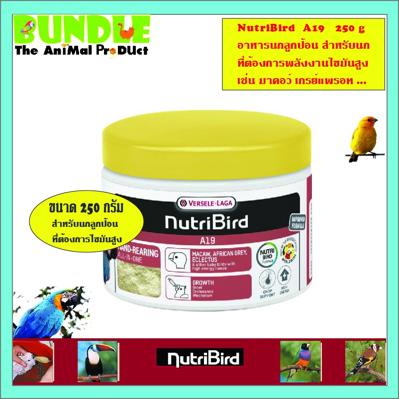 NutriBird  A19   250 g อาหารนกลูกป้อน สำหรับนก ที่ต้องการพลังงานไขมันสูง เช่น มาคอว์ เกรย์แพรอท ...