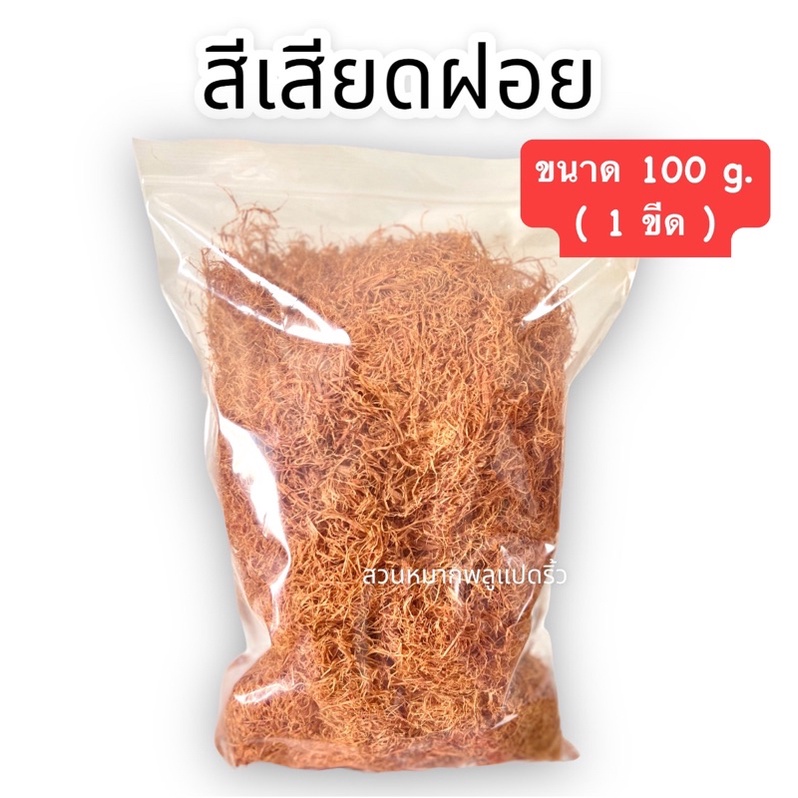 สีเสียด สีเสียดฝอย 100กรัม สีเสียดกินหมาก