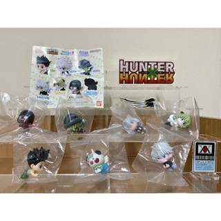 hunterxhunter กาชาปอง เกาะสาย ฮันเตอร์ภาคมด