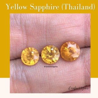 Yellow Sapphire พลอยบุษราคัม บางกะจะ จังหวัดจันทบุรี พลอยไทย พลอยแท้100% (พร้อมใบรับประกันสินค้าจากทางร้าน)