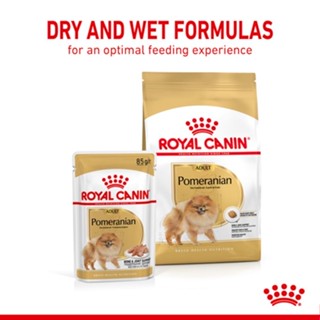 Royal Canin Pomeranian Adult 500 g อาหารสุนัข สายพันธุ์ ปอมเมอเรเนียน