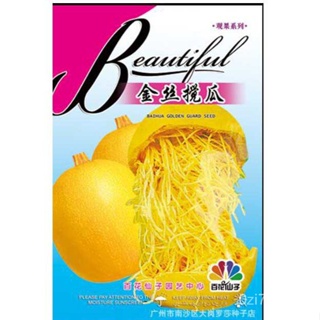 （คุณภาพสูง เมล็ด）ฟักทองสปาเก็ตตี้ (spaghetti squash)5เมล็ด/ง่าย ปลูก สวนครัว เมล็ด/ดอก WIHK