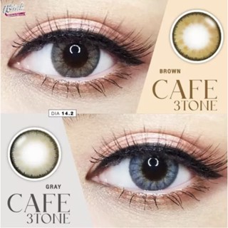 💫 Wink : Cafe 3 tone  Dia 14.2-14.3 ขนาด มินิ