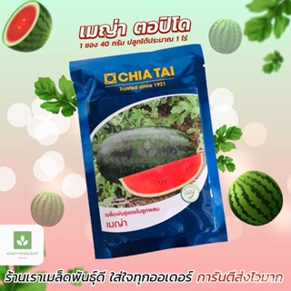 ผลิตภัณฑ์ใหม่ เมล็ดพันธุ์ สปอตสินค้า❤ใหม่! ตอปิโด เมญ่า เมล็ดอวบอ้วน แตงโม แตงโมเมญ่า เจียไต๋ 40กรัม  เมล็ดแตงโ /ดอก 0QE