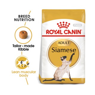 Royal Canin Adult Siamese 2 KG รอยัลคานินอาหารแมวไทย