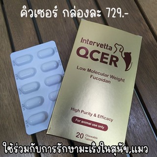 QCER 20เม็ด  ใช้เสริมวิตามินสำหรับสุนัขและแมวที่รักษามะเร็ง