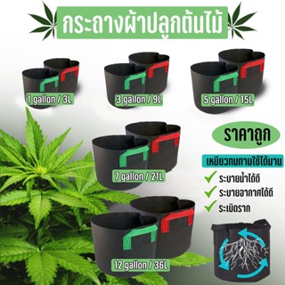 (พร้อมส่งในไทย) กระถางผ้า Grow bags กระถางผ้าปลูกต้นไม้ ถุงผ้าปลูกต้นไม้ ถุงปลูกต้นไม้ โตไว ระบายน้ำและอากาศได้ดี