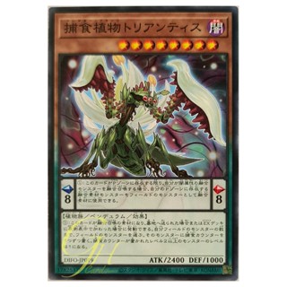 [DIFO-JP019] Predaplant Triantis (Common)