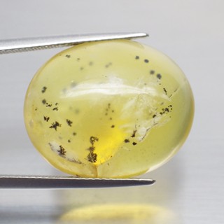 พลอย โอปอล ต้นไม้ ธรรมชาติ ดิบ แท้ ( Unheated Natural Dendritic Moss Opal ) 19.03 กะรัต