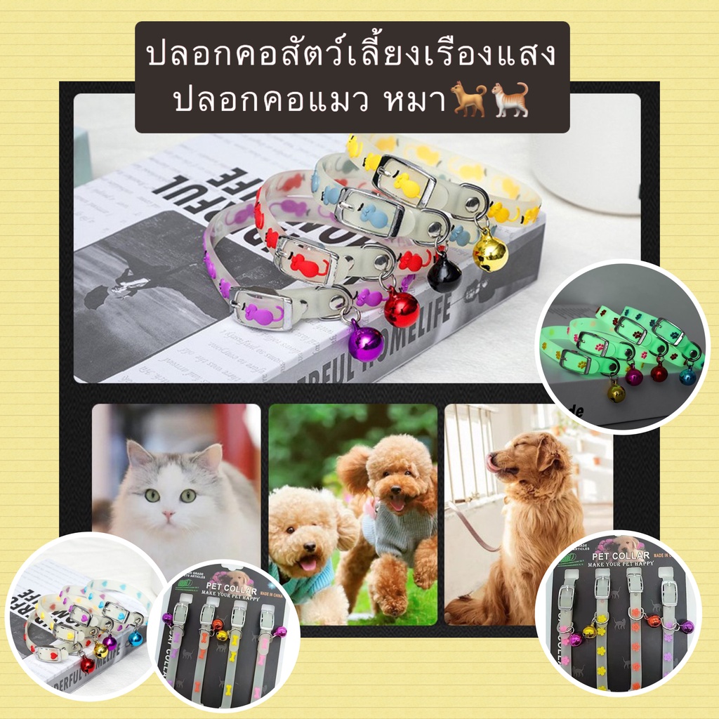 PP-403 ปลอกคอเรืองแสงสำหรับสัตว์เลี้ยง 🐶🐱 ปลอกคอแมว/หมา เรืองแสงในที่มืด มองเห็นชัด