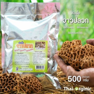 จุลินทรีย์ จาวปลวก 500 กรัม 💥มั่นใจ100% สินค้าล๊อตใหม่ล่าสุด เมื่อซื้อกับนักวิจัยและผู้ผลิตโดยตรง💥