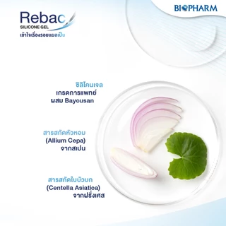 Biopharm Rebac รีแบค ซิลิโคนเจล เจลลดรอยแผลเป็น ขนาด 5 กรัม
