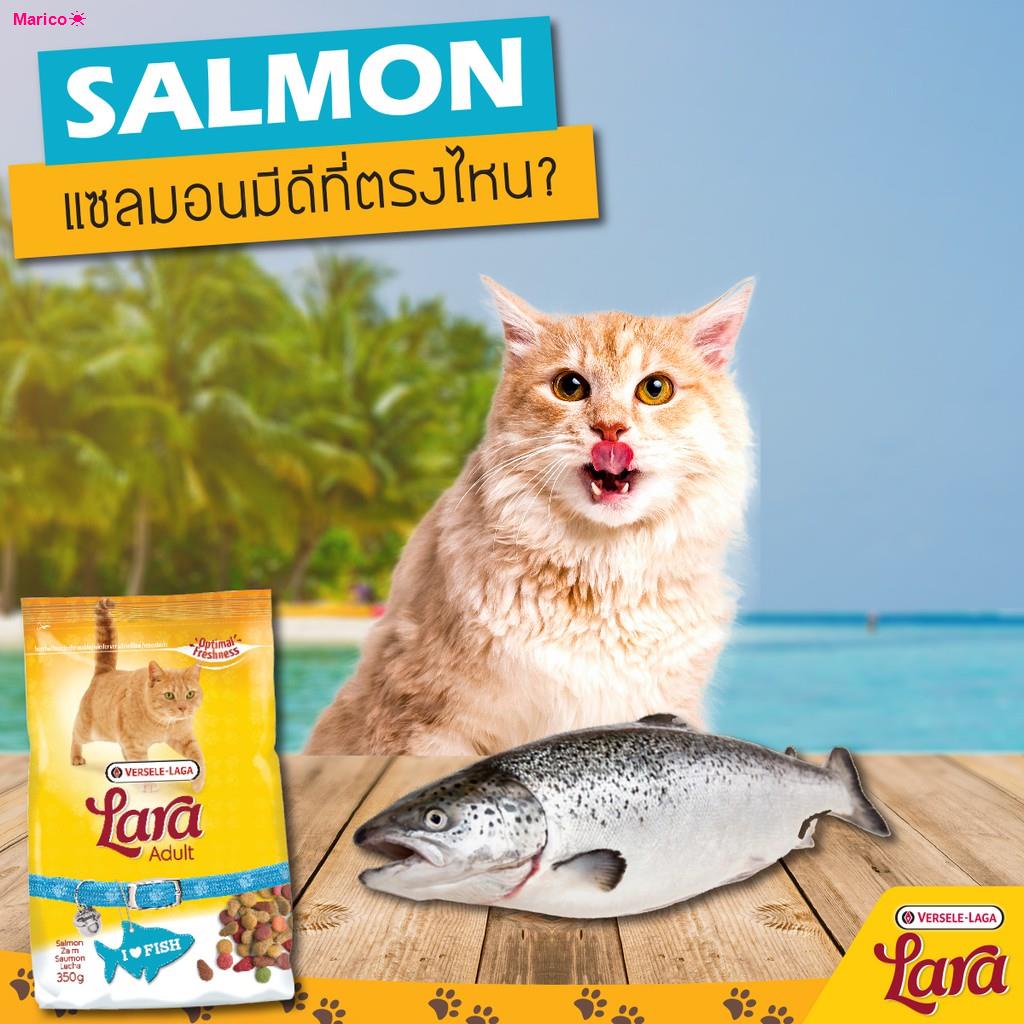 จัดส่งทันทีLara Salmon, 2kg.(Adult Cat Food) ลาร่า อาหารแมว โปรตีนสูง สูตรปลาแซลมอน, 2กก.