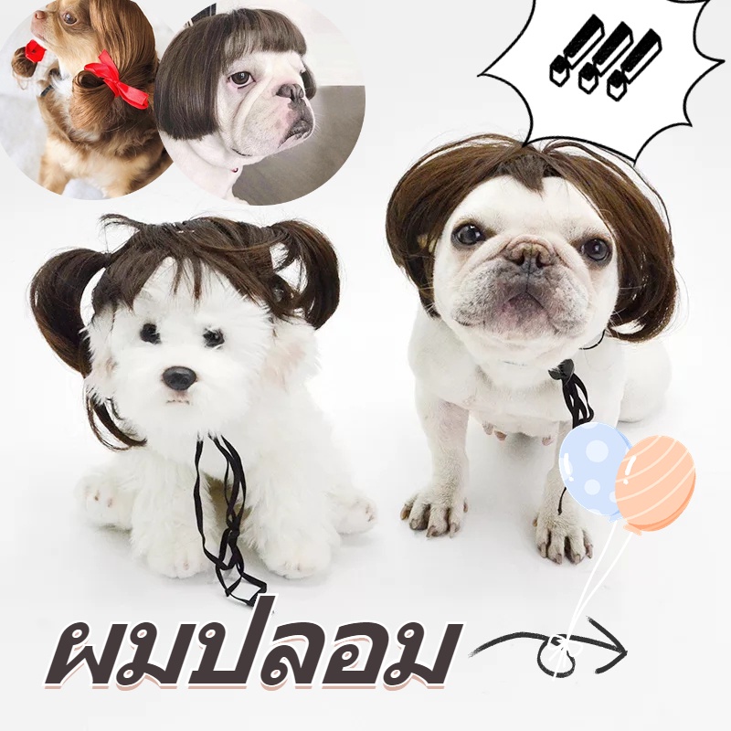 พร้อมส่ง ผมปลอม วิกผมสังเคราะห์สําหรับสัตว์เลี้ยงสุนัขแมว หมวกสำหรับสัตว์เลี้ยง สัตว์เลี้ยง แมว หมา