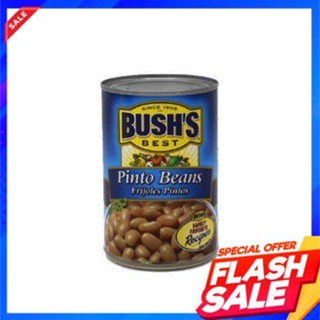 Bushs Best Frijoles Pinto Beans 454gBushs Best Frijoles Haricots Pinto 454g