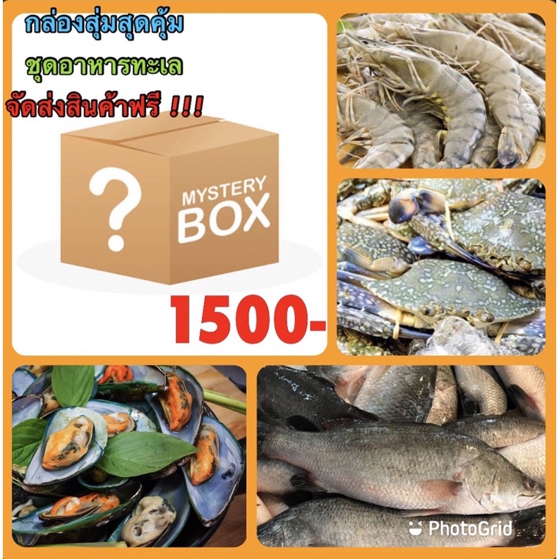 [พร้องส่ง!!] กล่องสุ่มอาหารทะเล 1500