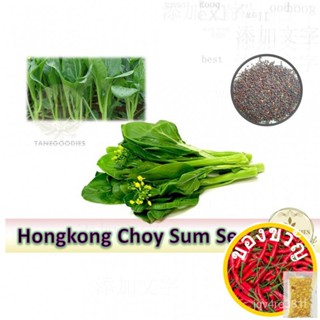 100pcs SEED Hongkong Choy SUM กวางตุ้ง vege ผักเมล็ดมัสตาร์ดเมล็ดผักกลีบดอกไม้ แม่และเด็ก/ สัต P6FU