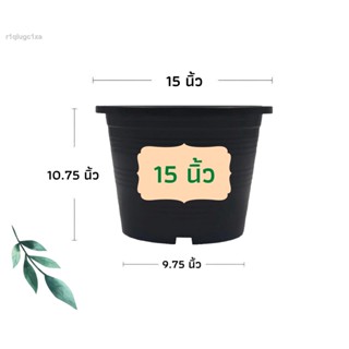 กระถางต้นไม้ กระถางพลาสติก กระถางแคตตัส กระถางต้นไม้พลาสติก กระถาง 4 นิ้ว 5 นิ้ว 6 นิ้ว 8 นิ้ว 10 นิ้ว 12 นิ้ว 15 นิ้ว 1