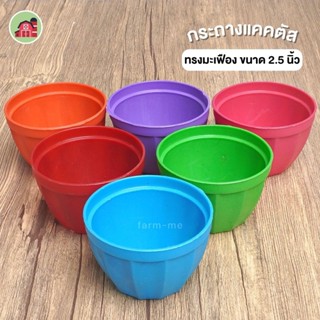 กระถางแคคตัส 2.5นิ้วสีสรร 50ใบ กระถางปลูกแคคตัส ทรงมะเฟือง