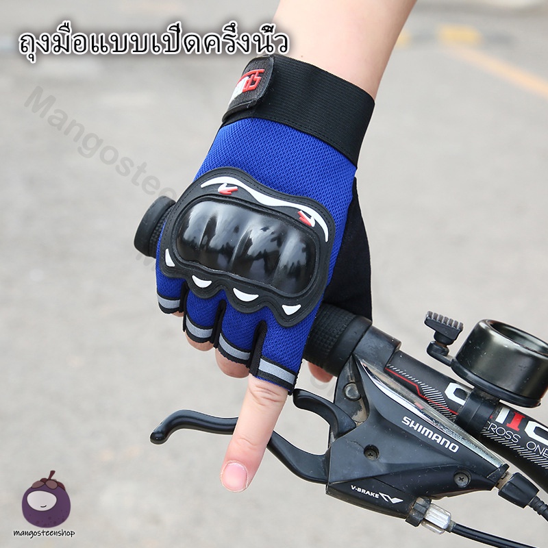 รูปภาพ 5