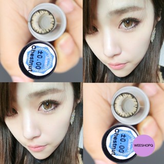 Shimmer chestnut  (Wink)  บิ๊กอาย คอนเเทคเลนส์ ลายตาหวาน