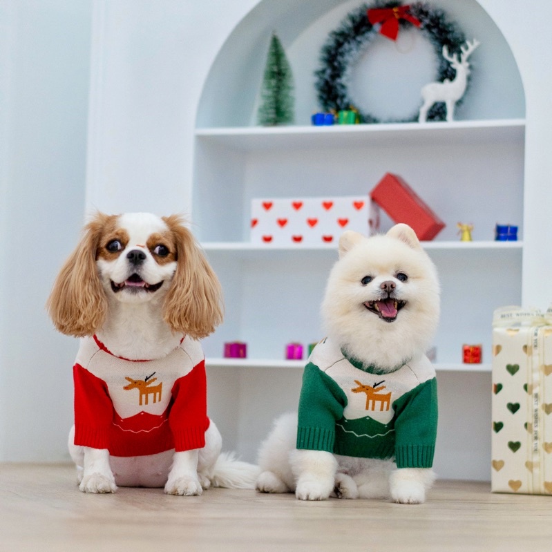 RUDOLF SWEATHER GREEN (เสื้อผ้าสำหรับน้องหมาน้องเเมว)