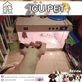 ตู้พ่นยา ตู้อนุบาลและพักฟื้นสัตว์เลี้ยง ให้ออกซิเจนขนาดใหญ่ ไซส์ L icu ขนาด หน้ากว้าง 60*สูง40ลึก40cm.