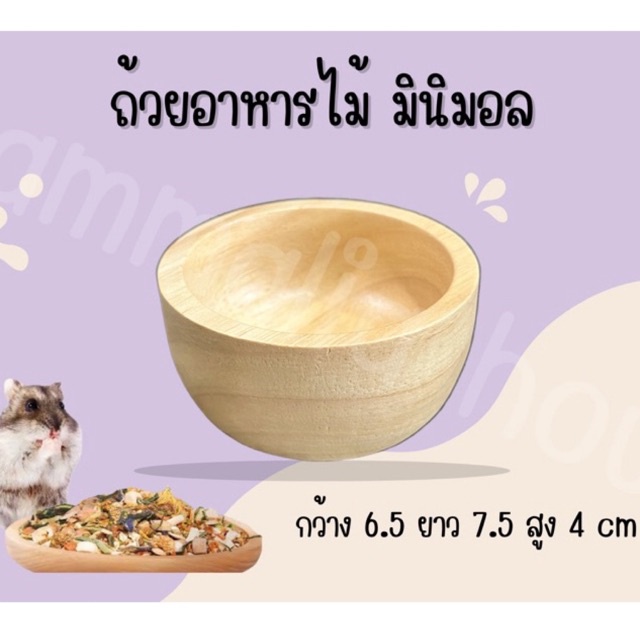 [Hammalia hoise]ถ้วยอาหารสัตว์ สไตล์มินิมอล ชามอาหารแฮมเตอร์ เม่น ชูการ์ ชินชิล่า หนู ดอร์เมาส์ แฟตเทล สัตว์เล็ก