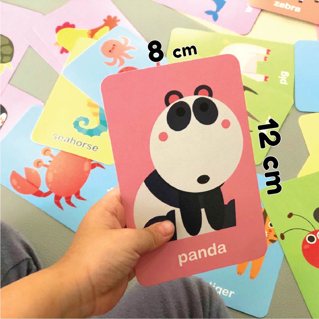 บัตรภาพชุดสัตว์ แฟลชการ์ด การ์ดคำศัพท์ขนาด 8×12 ซม.มุมมน