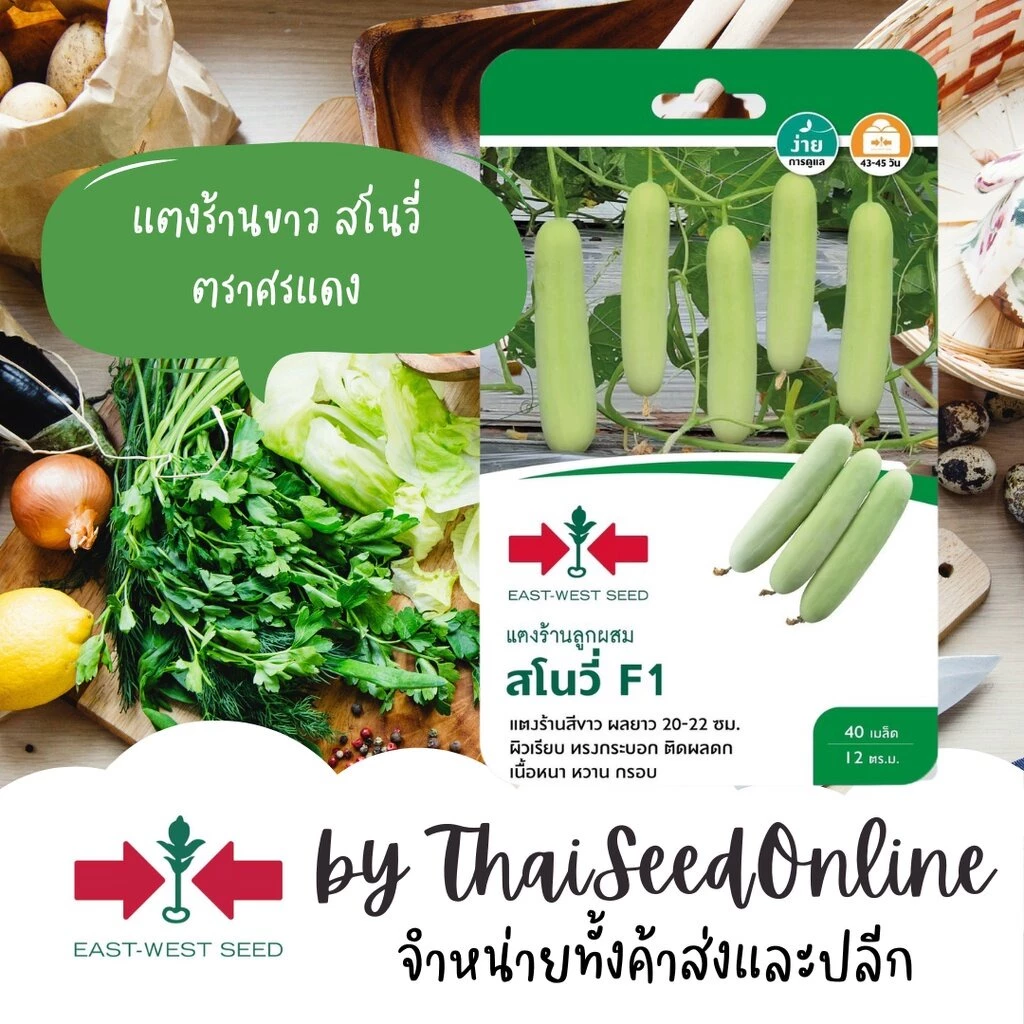 ตราศรแดง GGEW เมล็ดพันธุ์ แตงร้านสีขาวสโนวี่ 40 เมล็ด ตราศรแดง