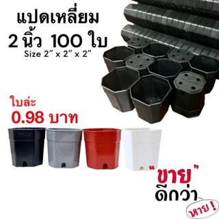 กระถางแคคตัส กระถางแปดเหลี่ยม 2 นิ้ว 100 ใบ(สีดำ สีขาว สีอิฐ สีเทา)