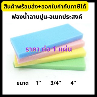 ฟองน้ำ ฟองน้ำฉาบปูน ฟองน้ำอเนกประสงค์ 1”, 3/4”, 4” (คละสี)