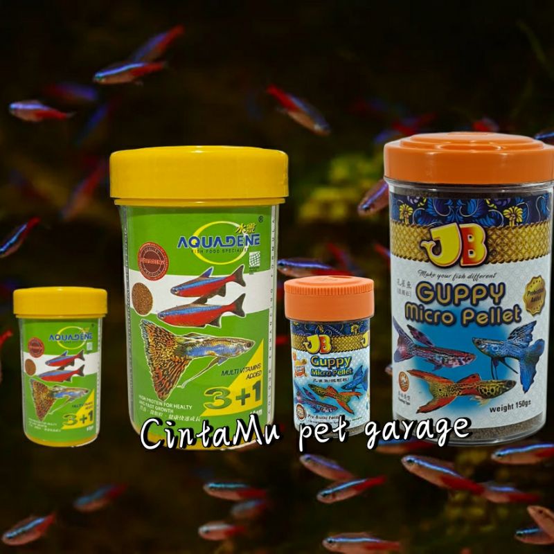 Aquadene 3+1 รวมวิตามิน Jb guppy อาหารปลาเม็ด makanan ikan guppy 60g/120g