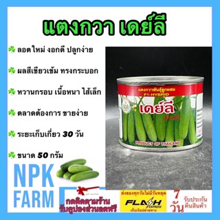 แตงกวา เดย์ลี ขนาด 50 กรัม เมล็ดพันธุ์ ลอตใหม่ ผลสีเขียวเข้ม ไส้เล็ก เนื้อหนา หวาน น้ำหนักดี ทรงกระบอก ผลยาว npkplant