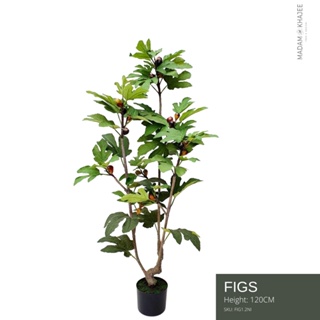 Figs tree - Height 120 cm. ต้นมะเดื่อฝรั่ง ความสูง 120 ซม.ต้นไม้ปลอมเกรดพรีเมี่ยมเพื่อการตกแต่ง ต้นไม้ประดิษฐ์ตกแต่งบ้าน