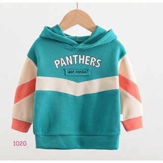 TLB-1020 เสื้อแขนยาวเด็กชาย sweater สีเขียวมีหมวก