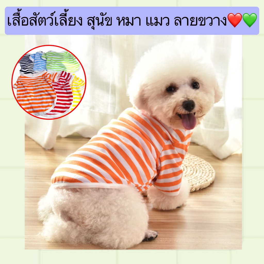 AL-413 เสื้อสัตว์เลี้ยง สุนัข หมา แมว ลายขวาง สีสันสวยงาม ราคาถูก พร้อมส่ง