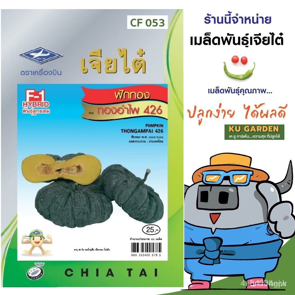 ผลิตภัณฑ์ใหม่ เมล็ดพันธุ์ จุดประเทศไทย ❤CHIATAI  ผักซอง เจียไต๋ F053#ฟักทอง ทองคำอำไพ426 F1  จำนวนประมาณ 20เมล็ด เ/เ VDE