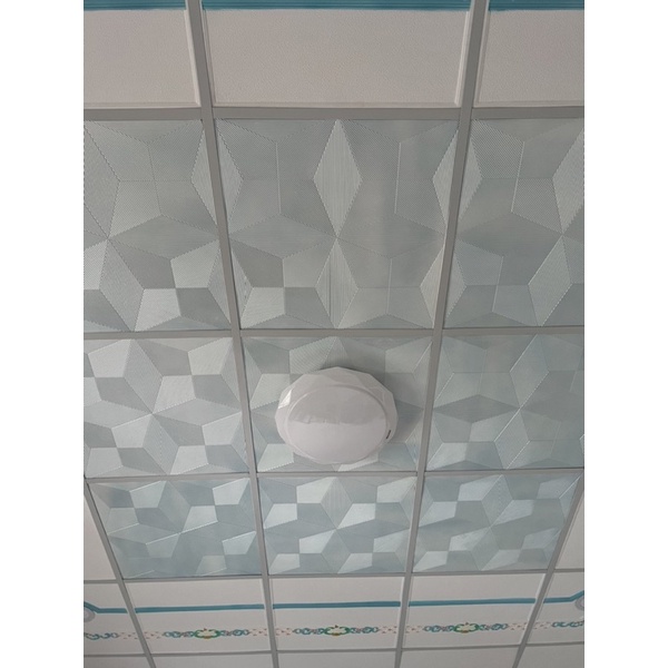 ฝ้าทีบาร์ ฝ้าแขวน ยิปซั่ม 60x60 cm หนา 9 mm (เจ้าพระยา มุกฟ้า)