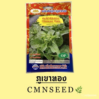 ผลิตภัณฑ์ใหม่ เมล็ดพันธุ์ เมล็ดพันธุ์ คะน้าฮ่องกง CHINESE KALE ตราภูเขาทอง ปริมาณ 0.5 กรัม PXLQ คละ สวนครัว/ขายดี็ด 1WKV