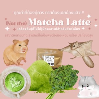 [Paws-sible] (Not the) Matcha Latte เครื่องดื่ม(ที่ไม่ใช่)ชาเขียวมัทฉะสำหรับสัตว์เลี้ยง นมชูการ์ นมกระรอก นมแพะ